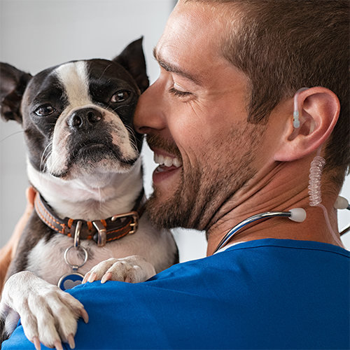 Veterinarian Wearing Earpiece